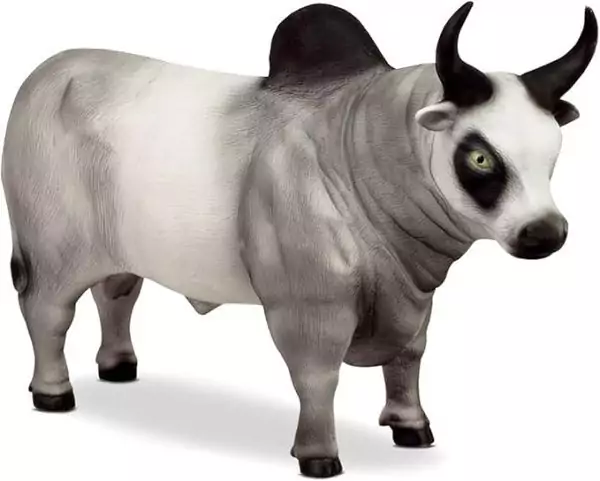 Touro Realista Branco em Vinil Farm Animals - Bee Toys